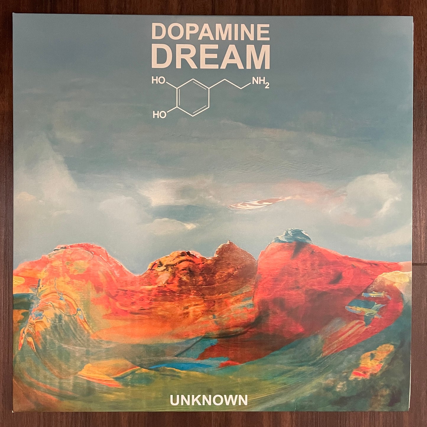 Deluxe Vinyl Record - "Unknown" - 1st Press